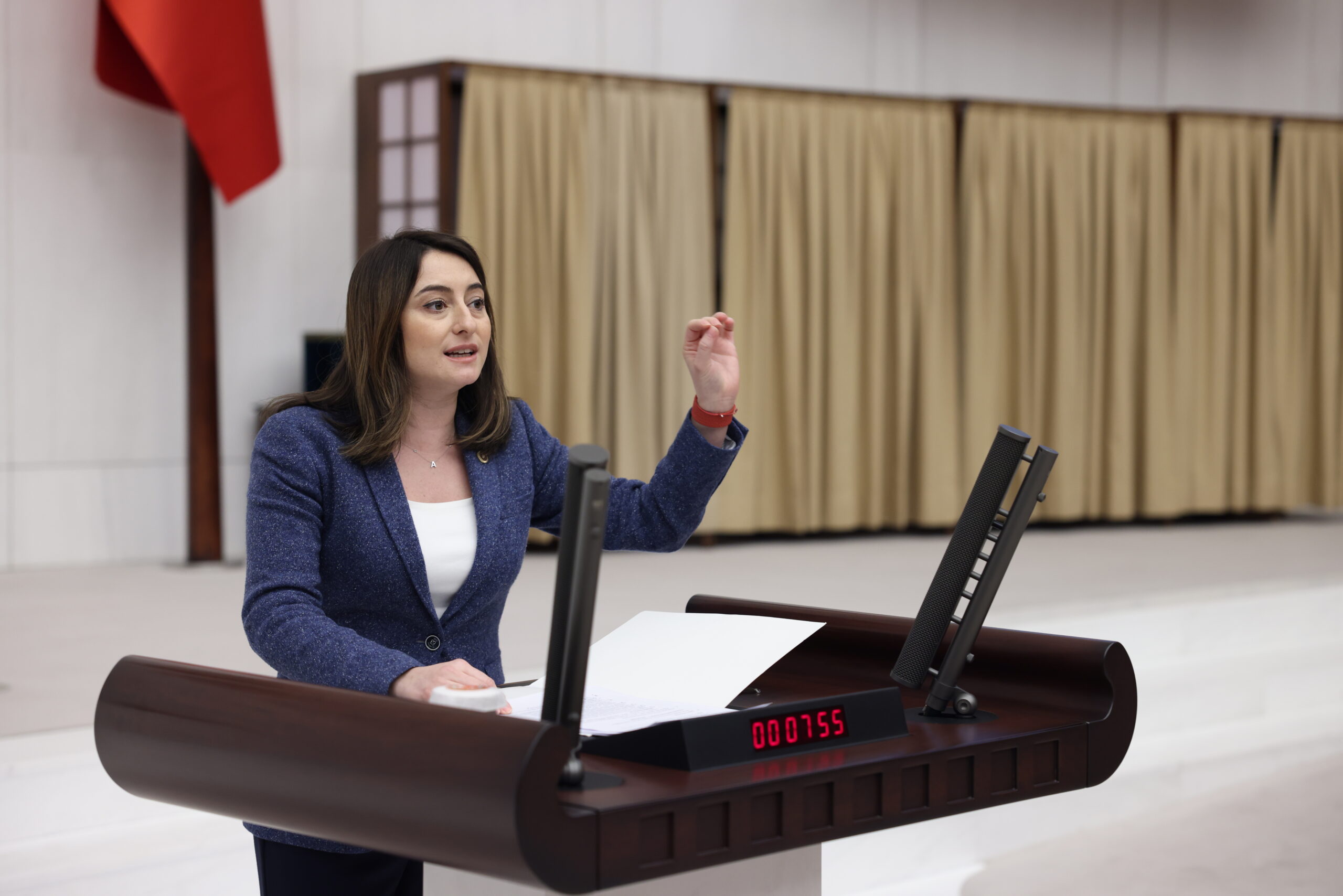 Aysu Bankoğlu