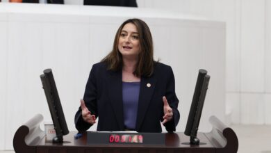 CHP Bartın Milletvekili Aysu Bankoğlu