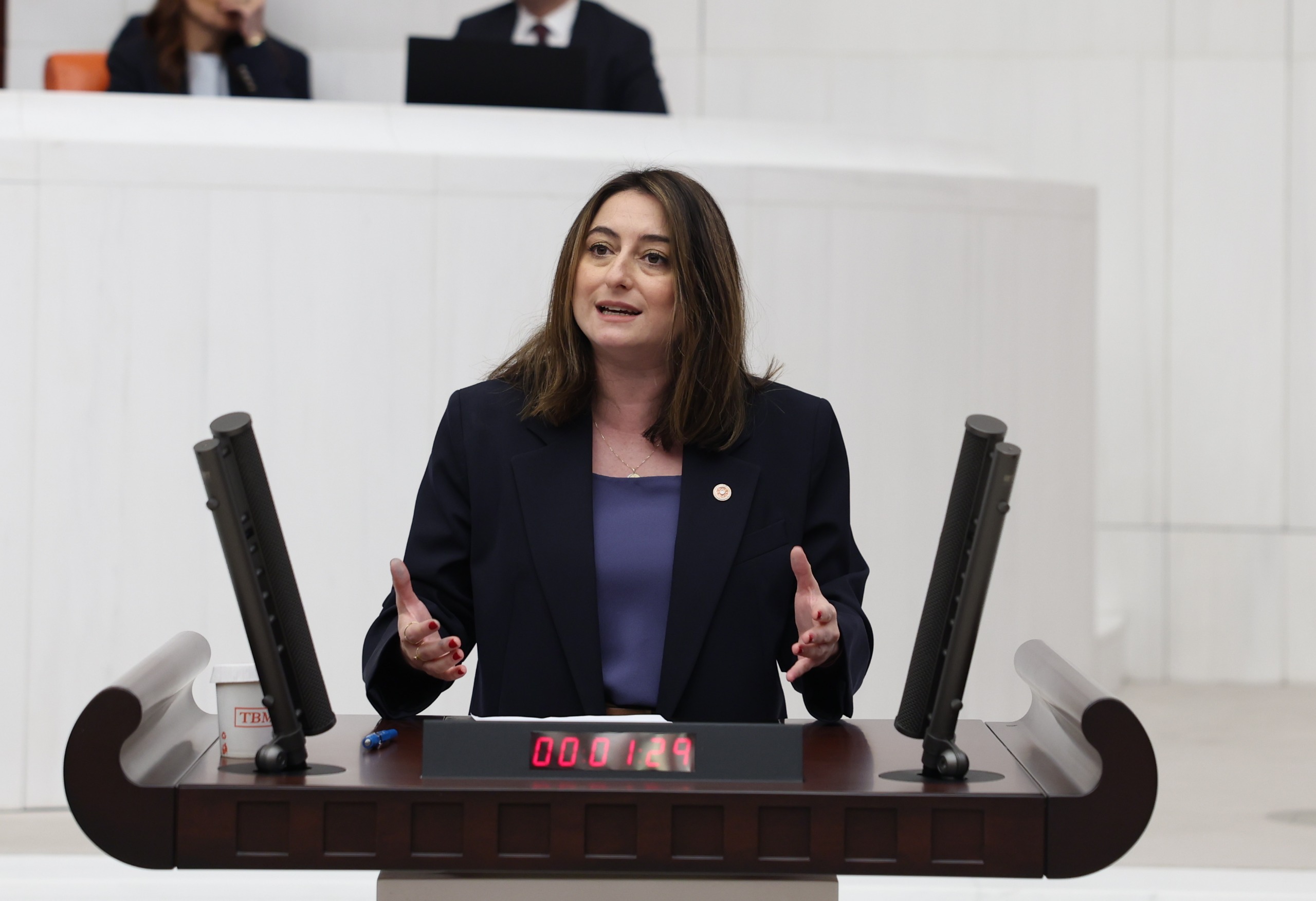 CHP Bartın Milletvekili Aysu Bankoğlu